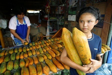 [Mamo-da-Indonesia3.jpg]