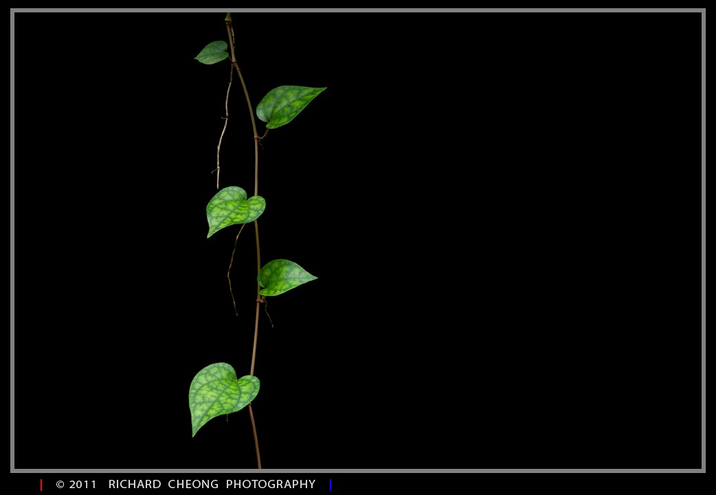 [DSC_3878%255B3%255D.jpg]