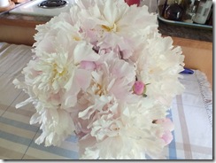 DSCF0660 DSCF0660