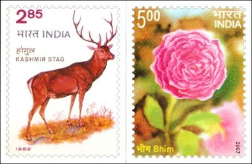 Chinar-2011-Stamp Cards 001