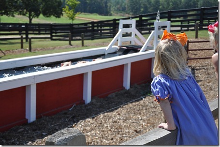 southern belle farm 100611 (51)