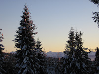 img_9554.jpg