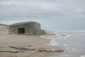 DSC_0166.JPG