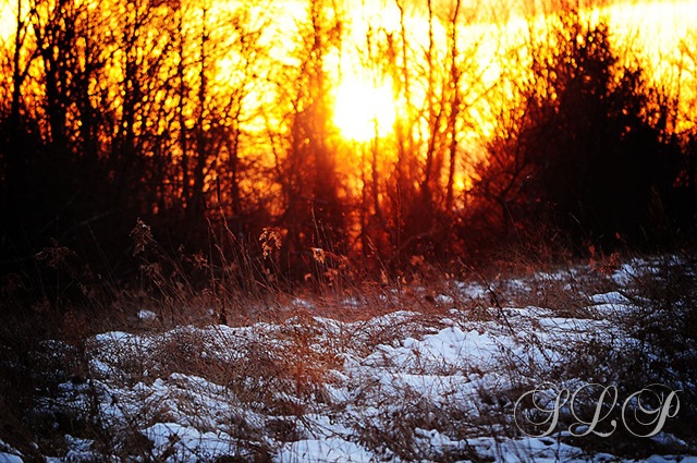 [sunset%2520and%2520snow%255B8%255D.jpg]