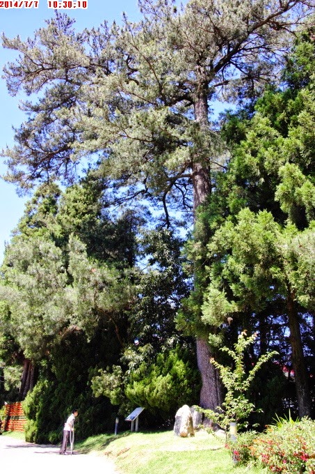 2014_0707_103010 2014_0707_103010