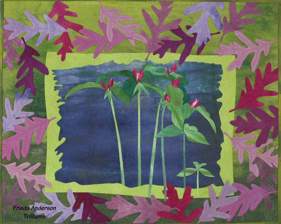 [FriedaAndersonTrilliums4.jpg]