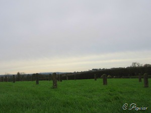 [IMG_23056.jpg]