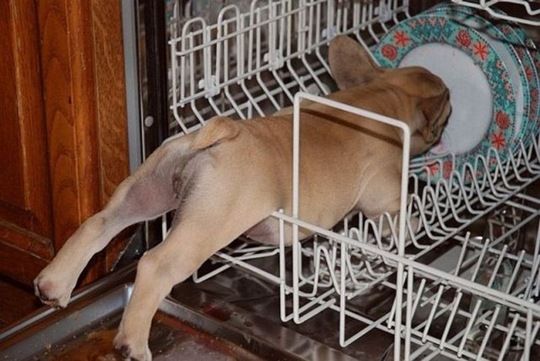 [chobbler%2520picdump%252001%255B2%255D.jpg]