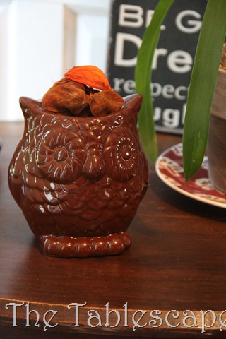 [Owls%2520014%255B2%255D.jpg]