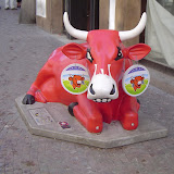 Europe Trip - Cows - cow13.JPG