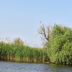 IMG_7819.JPG