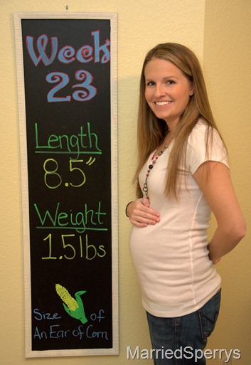 Baby_Bump_09_22_2012_1232.NEF