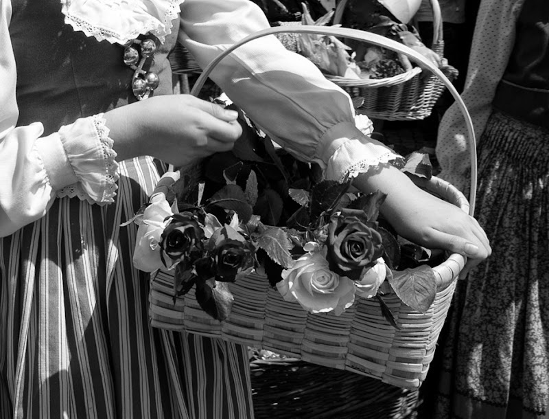 DSC_3227bw