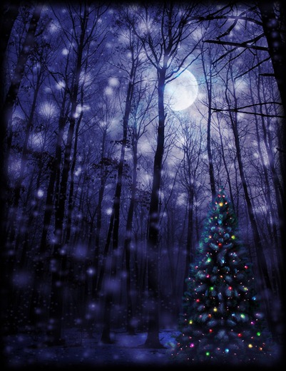 luna de navidad