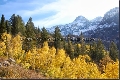 DSC_0759 DSC_0759