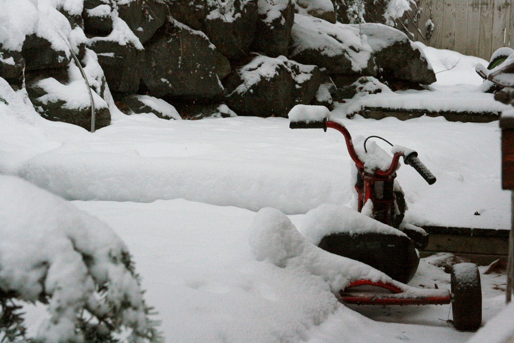 [snowdays%25208%255B4%255D.jpg]