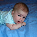 David