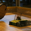 IMG_0253 AS_.jpg