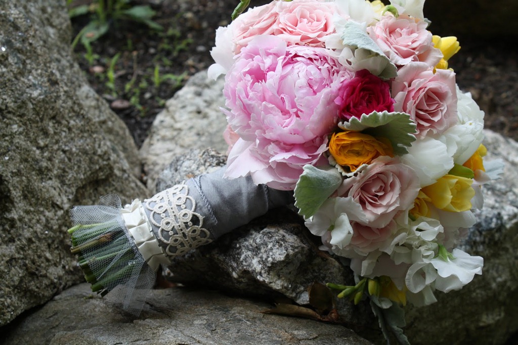 [IMG_5065--flora-fauna4.jpg]