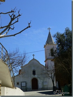 P1020589 P1020589
