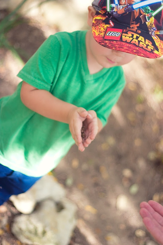 austin_mayfield__2_toddler austin_mayfield__2_toddler
