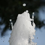 IMG_1865.JPG