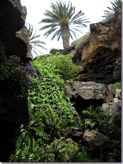 Lanzarote mare 689 Lanzarote mare 689