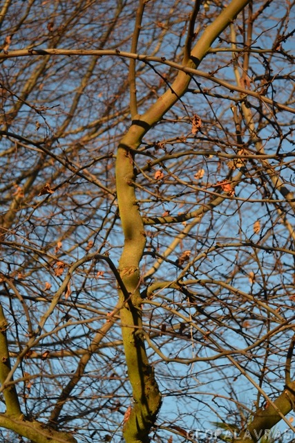 [NatalESL2010%2520-%252020%255B6%255D.jpg]