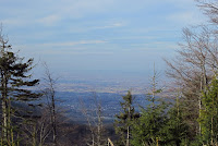 IMG_0347.JPG