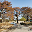 DSC09058.jpg