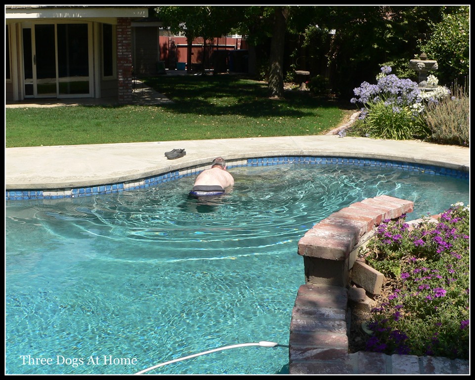 [pool-fix14.jpg]