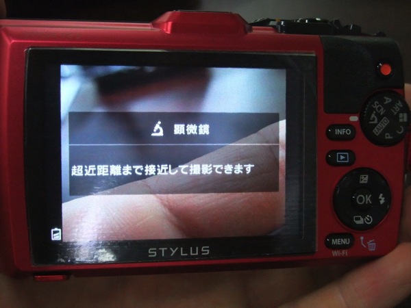 DSCF4881.jpg DSCF4881