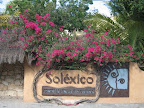 Sprachaufenthalt Playa del Carmen Soléxico