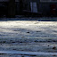 Winter 2010