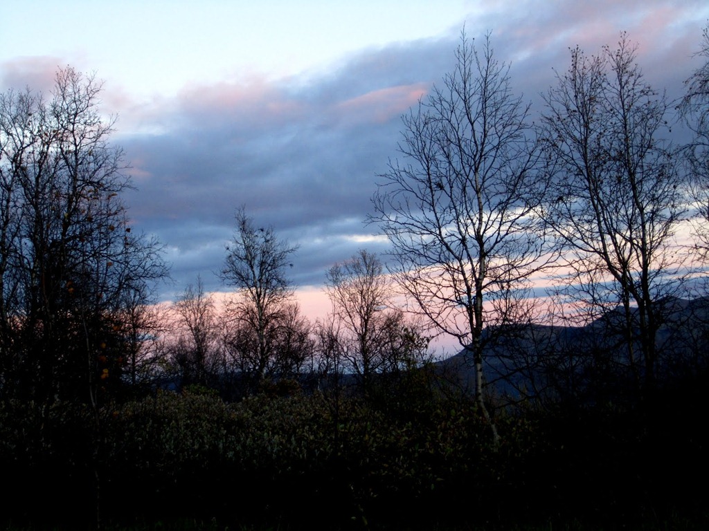 [IMG_22974.jpg]
