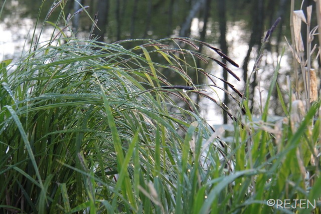 [IMG_5462%255B3%255D.jpg]