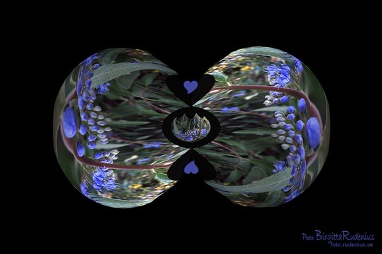 pm_20110831_bluelove pm_20110831_bluelove