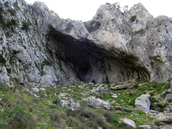 2011_12022379.jpg