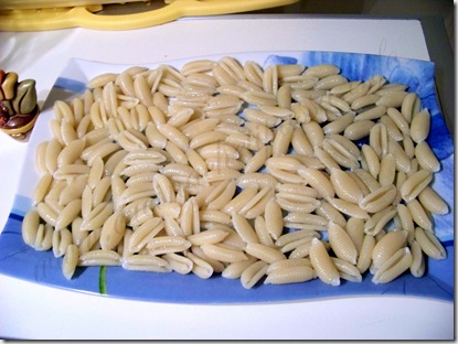 pasta fredda allo yogurt mela finocchio tonno ricetta (3) pasta fredda allo yogurt mela finocchio tonno ricetta (3)