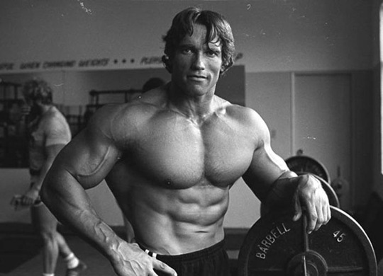 [arnold%2520schwarzenegger%2520timeline%25205%255B2%255D.jpg]