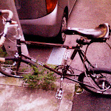 Cycle