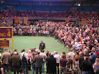 Crowds watch the judging