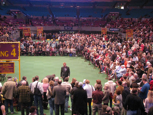 Crowds watch the judging