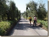 A Perfect Tuscan Cycling Road