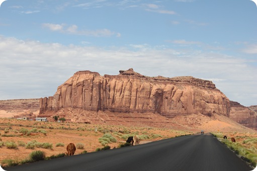 Drive to Monument Valley 121