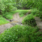 image_from_picasa