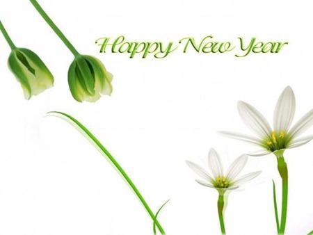 happy tamil new year 2012