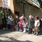IMG_1418.jpg