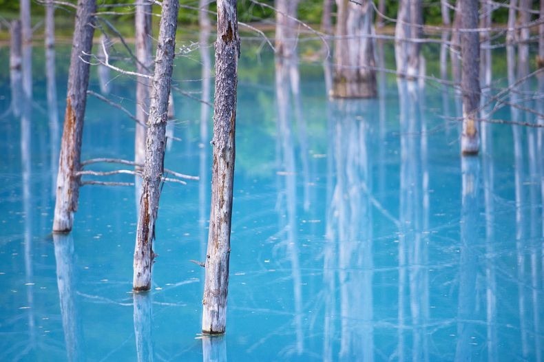 blue-pond-2 blue-pond-2