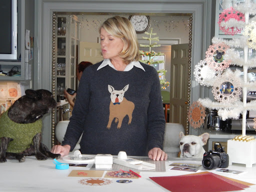 We are so thankful that Martha chose us to be her pets.  She takes such good care of us and we love her.  Plus, she gives us starring rolls in print, television, and videos, like this one from Countdown to Christmas on http://www.marthastewart.com/.